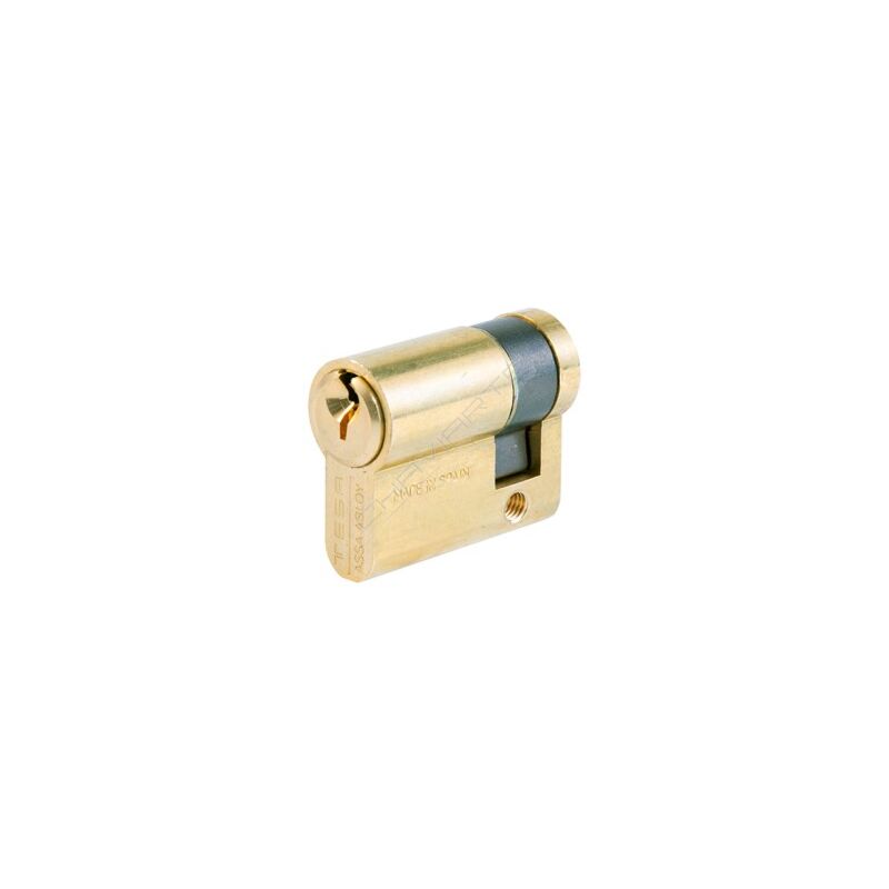 Cilindro Tesa TE5 40x10mm latonado