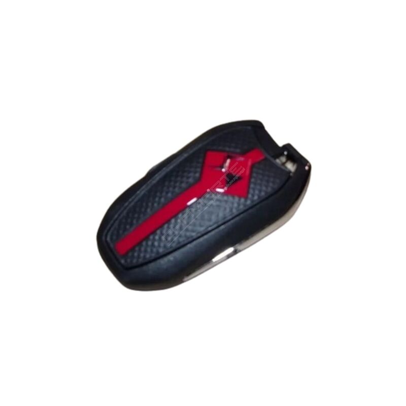 Comando DS Proximidade Original -98244469KY