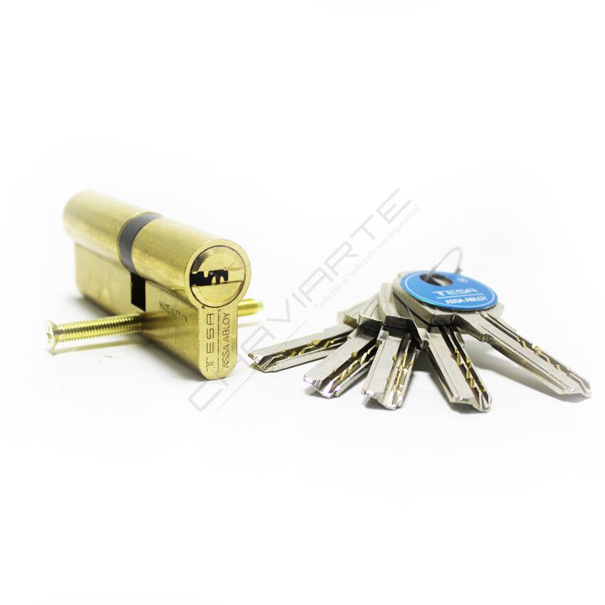 Cilindro Tesa T60 50x60mm latonado