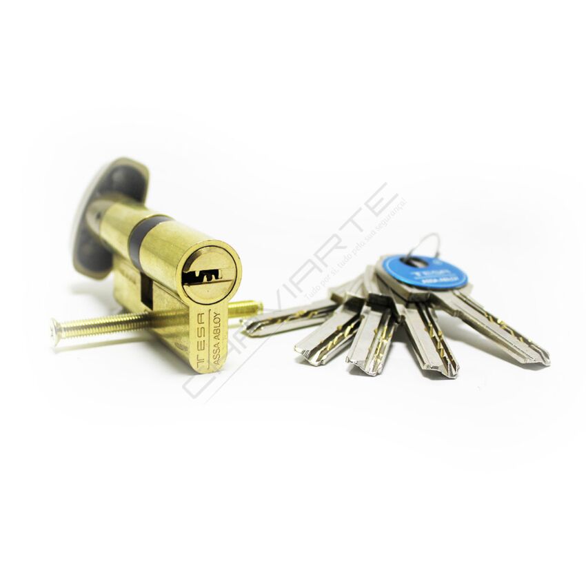 Cilindro Tesa T60 de botão 30x30mm latonado