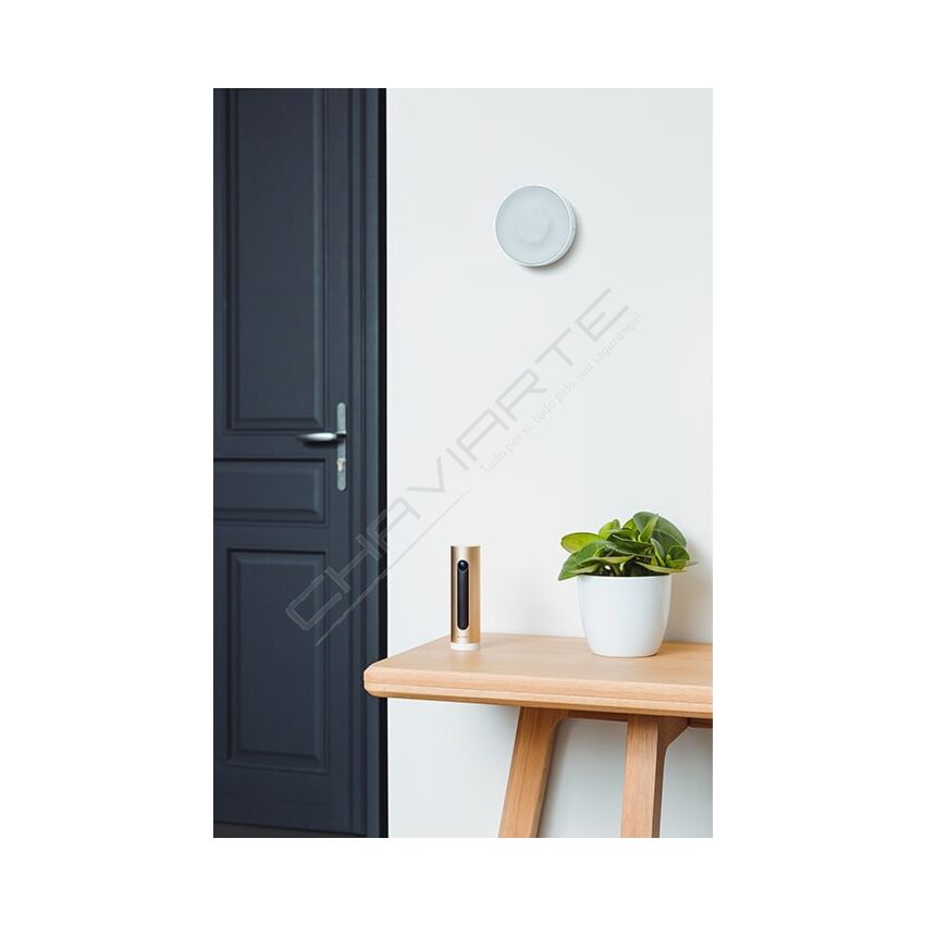 Câmara de vigilância Netatmo para interior