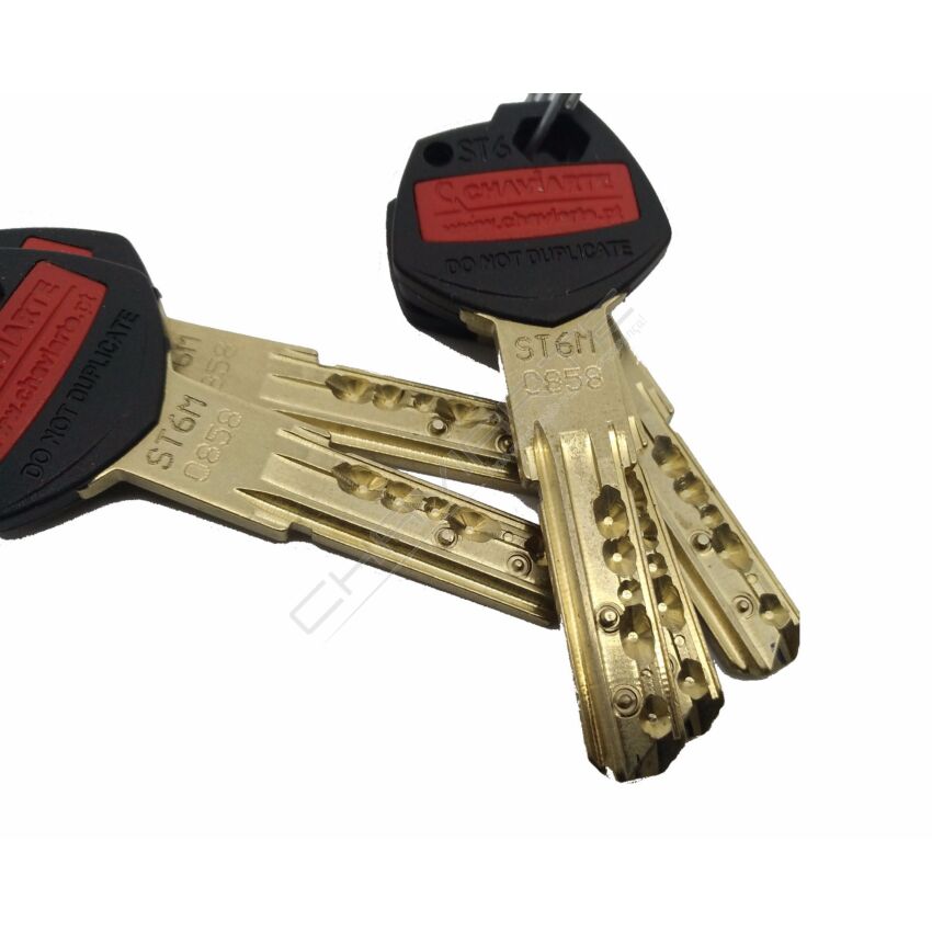 Cilindro Tesa ST6 40x50mm latonado
