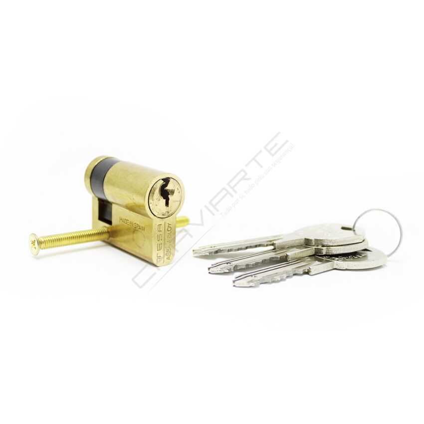 Cilindro Tesa TK6 40x10mm latonado
