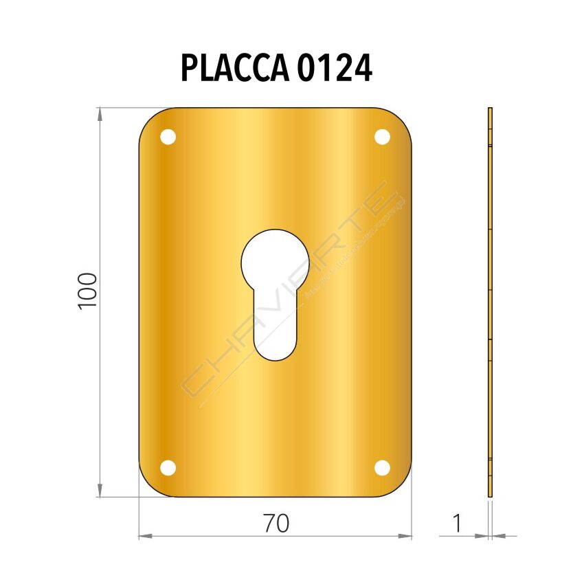 Placa substituição AF  0124 Cromado satinado