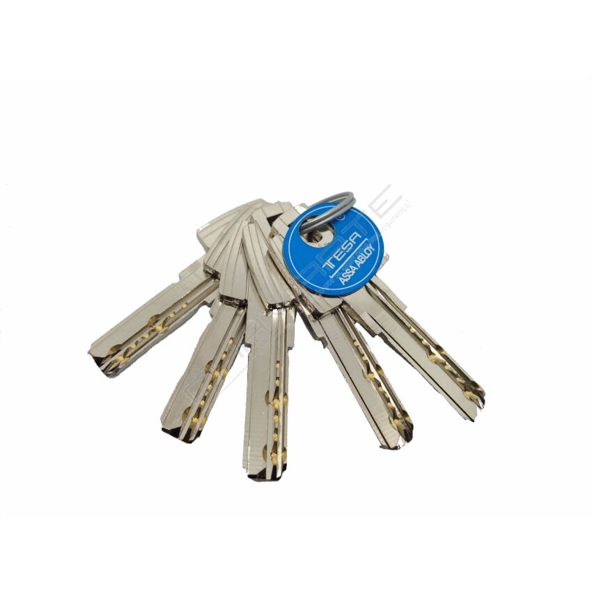Cilindro Tesa T60 45x55mm niquelado