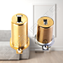 Cilindro Fichet 787Z 2D Vertipontos dourado