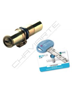 Cilindro Mottura Champions C28 PLUS TP8D506201 para portas Fichet Vertipoint