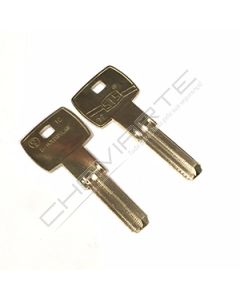 Chave especial STS original CS5 (pedido à sede por cartão)