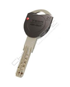 Chave especial Tesa original TK100 (pedido à fábrica por cartão)